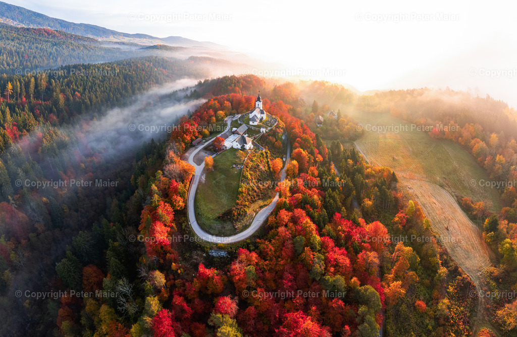 Sternberg_Herbst-281 | piet_flosse