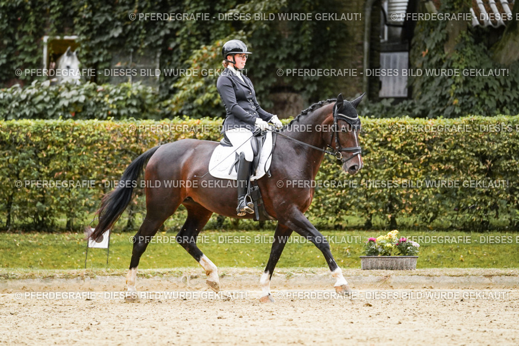 DSC06723 | Pferdegrafie