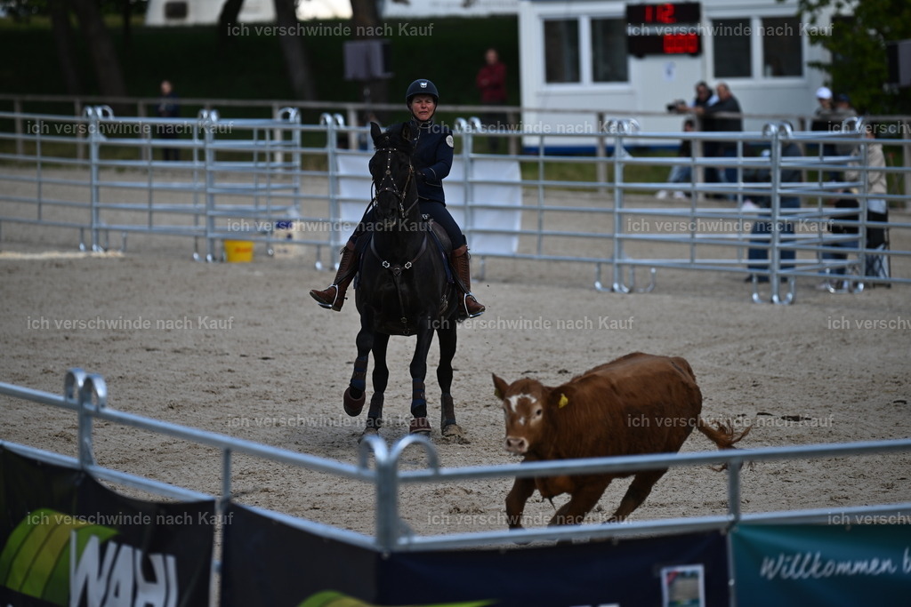 PI26_COW_Sara Landvogt226_7132.JPG | working equitationturnier fotograf videograf stoibphotography marixx film working equitation deutschland reitsport turnierfotografie eventfotografie equestrian events