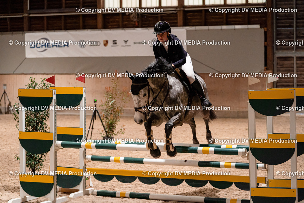 Springen Tag 1-141 | dv-media-shop - Realisiert mit Pictrs.com