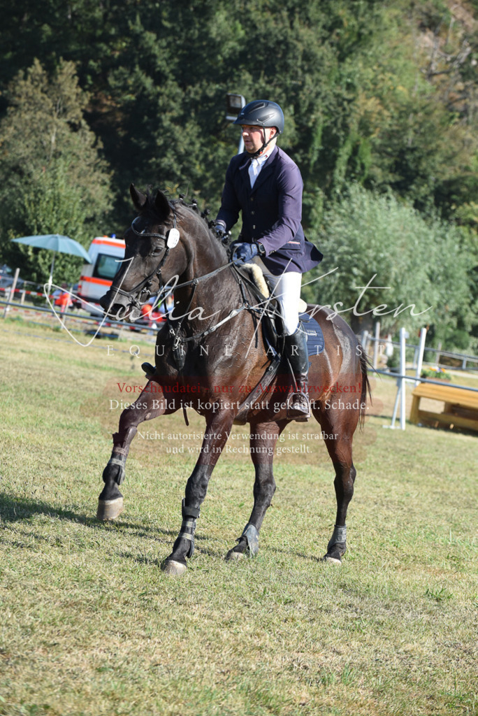 DSC_5350 | Pferde- und Turnierfotografie in Westsachsen. Pferdeportraits, Auftragszeichnungen und intuitive Kunst.