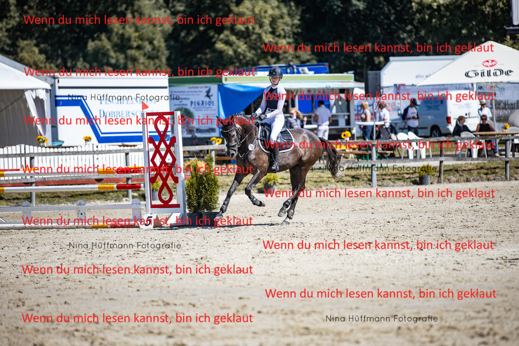 BK1A5615 | Turnierbilder Turnierfotos Nina Hüffmann Turnierfotografie Pferdefotografie Tierzeichnung Haustierzeichnung Pferdezeichnung Hundezeichnung Videograf  - Realisiert mit Pictrs.com
