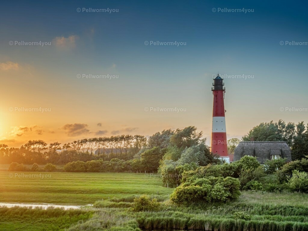 pellworm-kalender-2024-15-denoise-enhance-2x-sharpen | Pellwormer Bilder und Fotos als Poster, auf Leinwand mit Keilrahmen, hinter Acrylglas, auf Alu-Dibond oder Forex-Platte und vieles mehr. Zum verschenken, für die Ferienwohnung oder für zu Hause. - Realisiert mit Pictrs.com