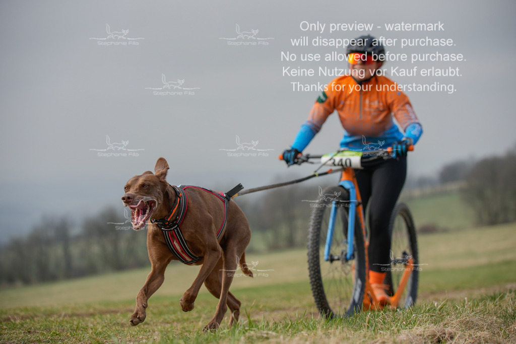 ScooterSA-196 | stephaniefillaphotographie - Realisiert mit Pictrs.com