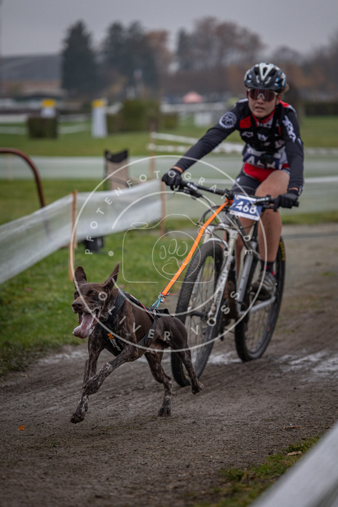 CaniXpix_0L8A1689 | Hundefotografie, Tierfotograf, Pfotenfotografie, Fotoshooting Hund, Hunde Portrait, Hundesport, Hundeportraits, Heideshooting, Hunde, Sportfotograf, Hundefotograf, Turnierhundsport, THS,  - Realisiert mit Pictrs.com