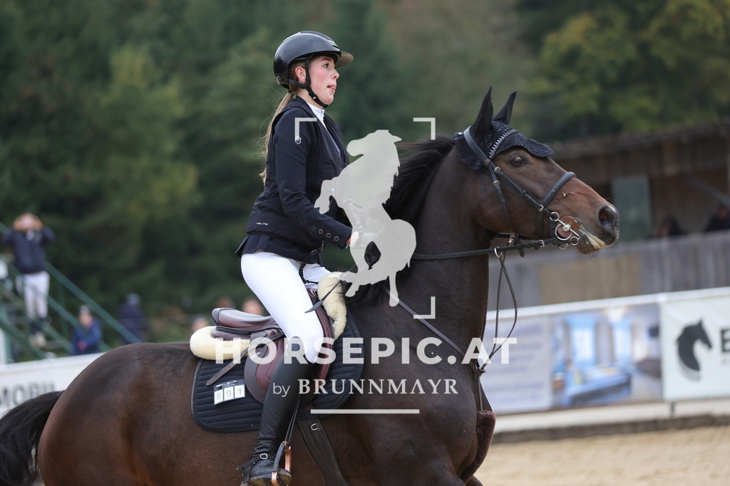 0P6A6325 | Willkommen bei Brunnmayr - Design & Fotografie – Ihrem Spezialisten für Reitturniere und Pferdeveranstaltungen in Oberösterreich, Salzburg und Bayern! Seit über 17 Jahren sind wir leidenschaftlich dabei.