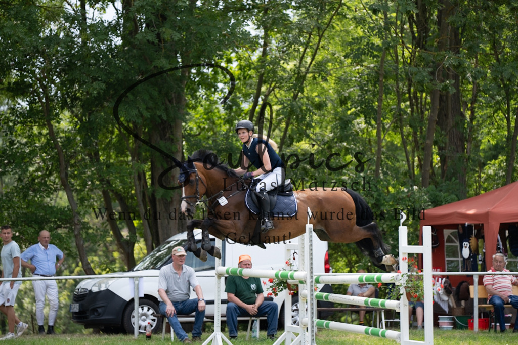 A7V07406 | Pferdefotograf