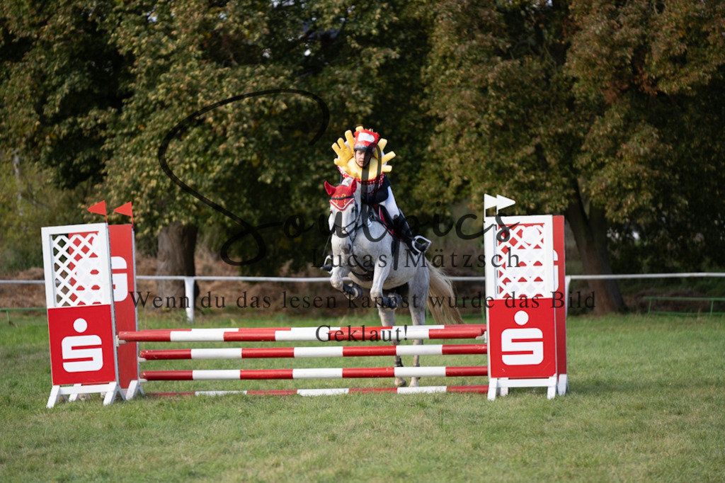 A7V06557 | Pferdefotograf