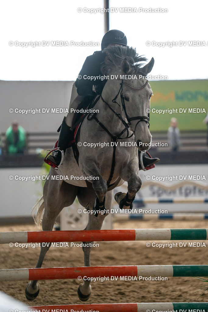 Kranichstein Tag 2-495 | dv-media-shop - Realisiert mit Pictrs.com