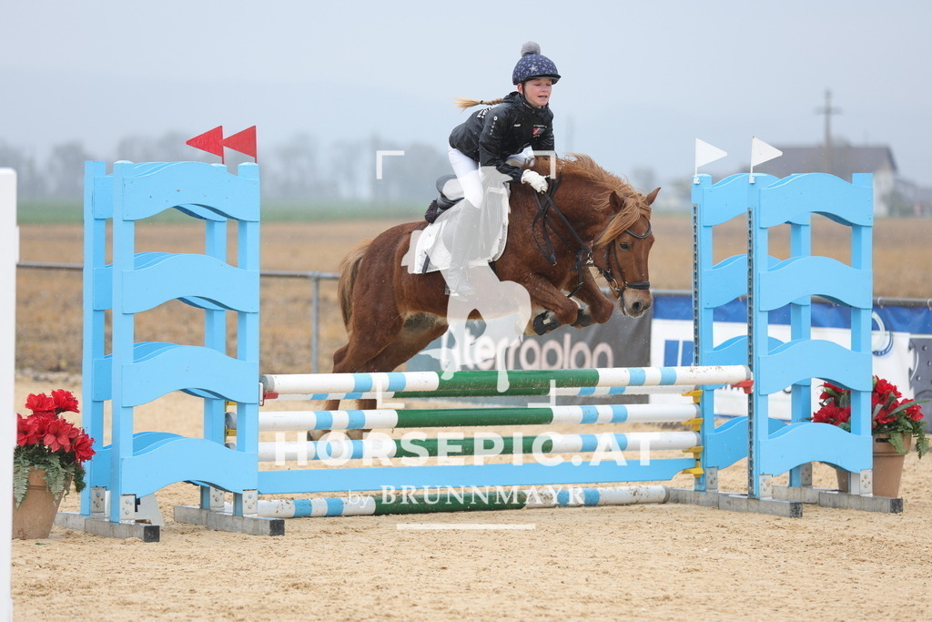 0P6A7269 | Willkommen bei Brunnmayr - Design & Fotografie – Ihrem Spezialisten für Reitturniere und Pferdeveranstaltungen in Oberösterreich, Salzburg und Bayern! Seit über 17 Jahren sind wir leidenschaftlich dabei.