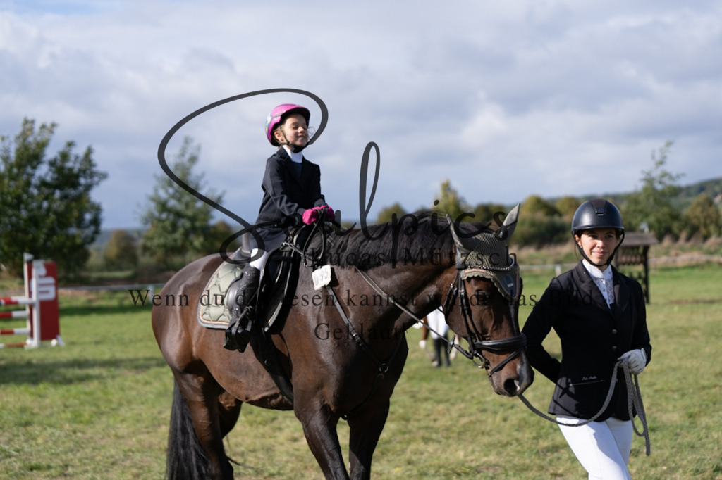 A7V07104 | Pferdefotograf