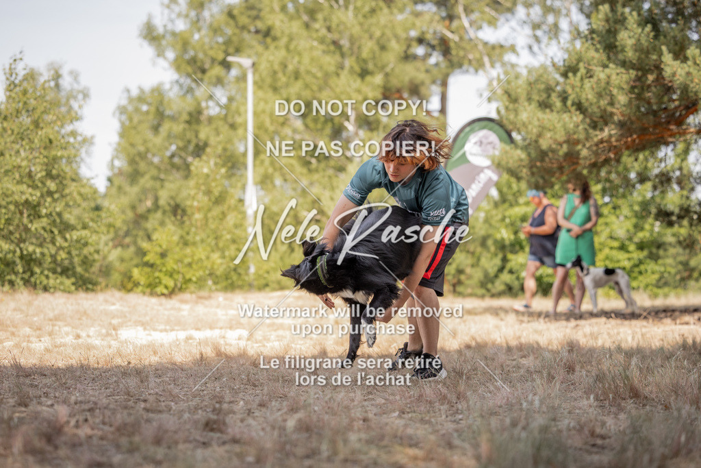 nelerasche_soDD2_332 | nelerasche