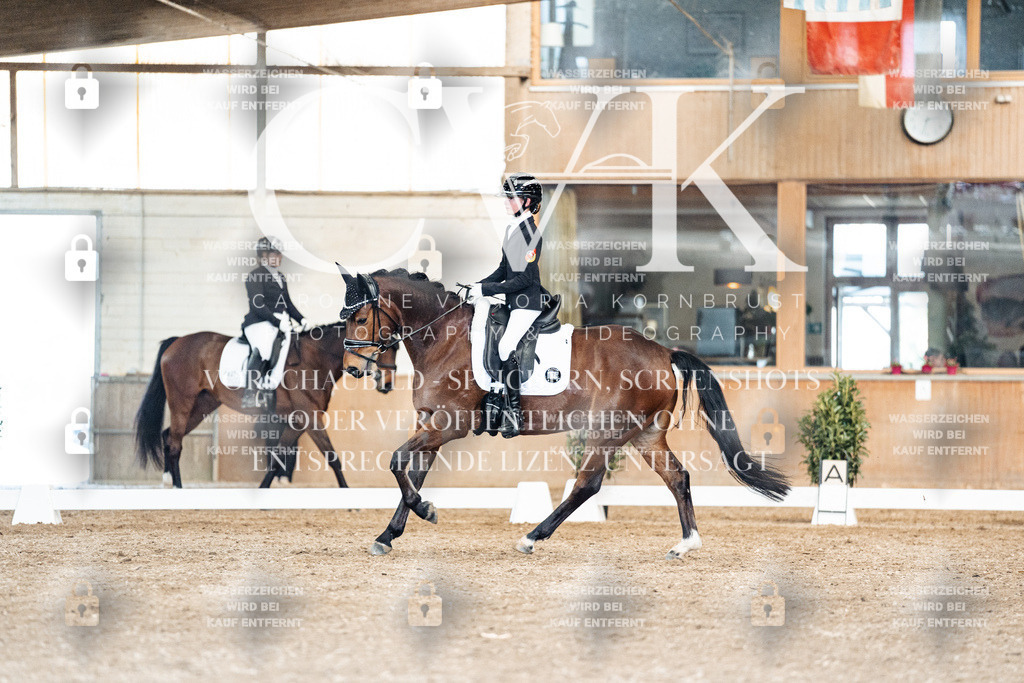 CK901501 | Turnierfotografie Pferdefotografie Trier Rheinland-Pfalz Pferdesport Reitsport Tierfotografie Sportfotografie Pferdevideo Pferdevideografie Equestrianvideography equestrianphotography  - Realisiert mit Pictrs.com