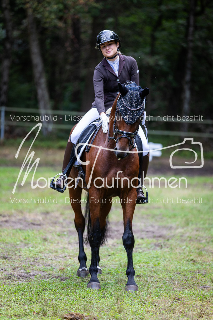 HB-A-Dressur-176 | MomenTaufnahmen Pferdesportfotos