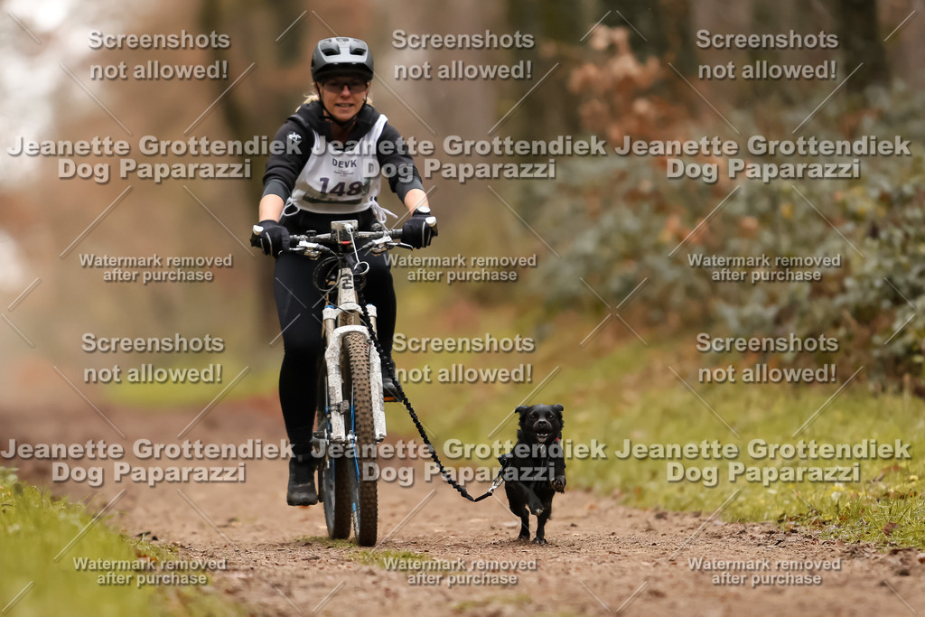 Dog Paparazzi - Speedhunter Mannheim  2025-411 | Dog Paparazzi Jeanette Grottendiek Fotografie & Videografie