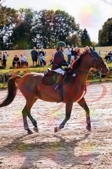 2026_10_03_Siefer-Hof_143755_Z81_07172794 | Professionelle Reitsport-, Turnier- und Eventfotografie von Robert Broda. Galerien mit ausgewählten und bearbeiteten Bildern direkt online ansehen und bestellen.