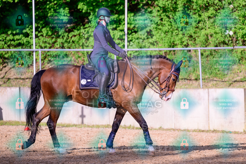 02052026-Giesenbach-03-Speedtrail-0286 | Fokus Hufschlag Fotografie - Realisiert mit Pictrs.com