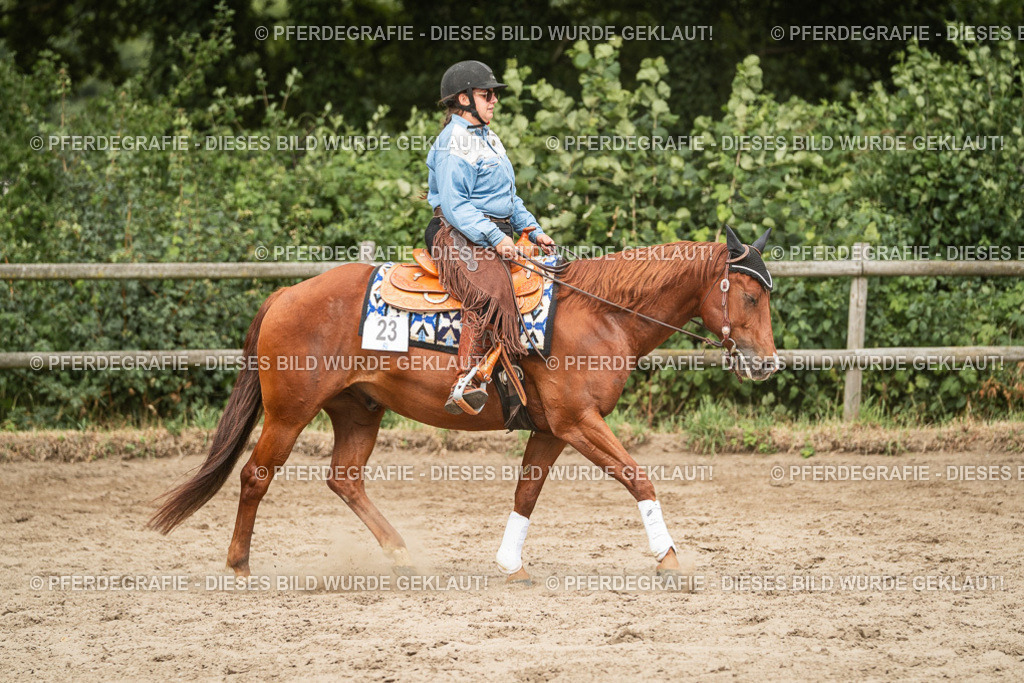 DSC03570 | Pferdegrafie