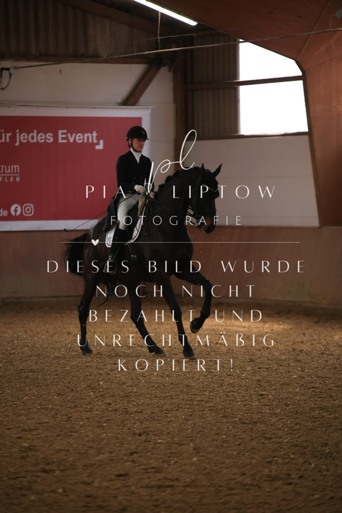 IMGT4499 | pl-fotografie