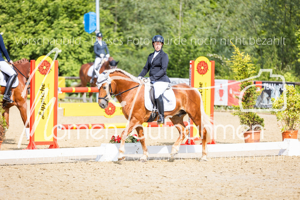 Donop24-A2-Dre-079 | MomenTaufnahmen Pferdesportfotos