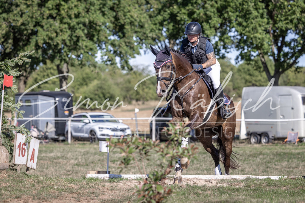 20260906-_3LI2261 | Tierfotografie Pferde, Hunde, Katzen, Haustiere.
Turnierfotografie Reitturniere, Reiten, Springreiten, Dressur in Hanau, dem Main-Kinzig-Kreis und dem Rhein-Main- Gebiet um Frankfurt