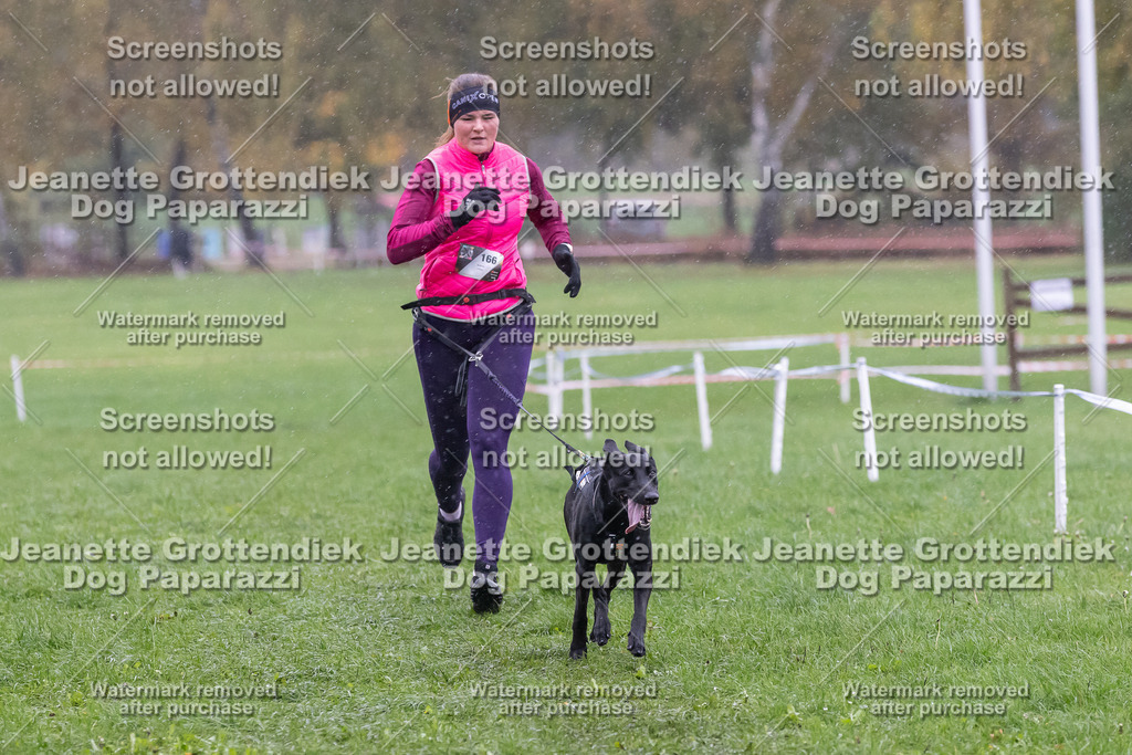 Dog Paparazzi - SD CaniX Championship 2025-995 | Dog Paparazzi Jeanette Grottendiek Fotografie & Videografie - Realisiert mit Pictrs.com
