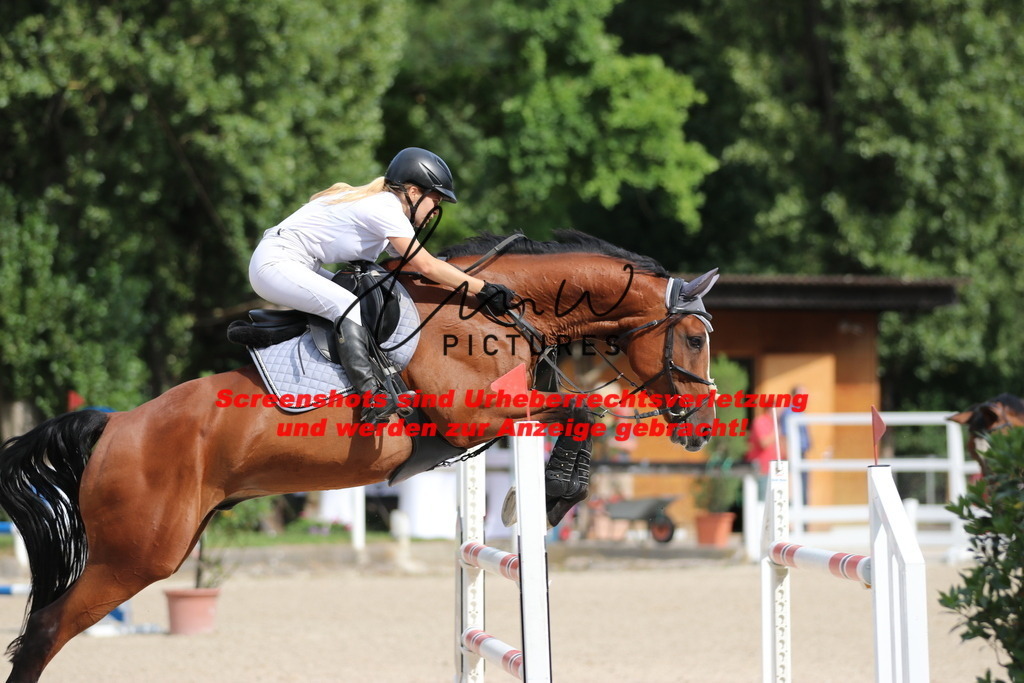 IMG_0761 | lmwpictures - Realisiert mit Pictrs.com