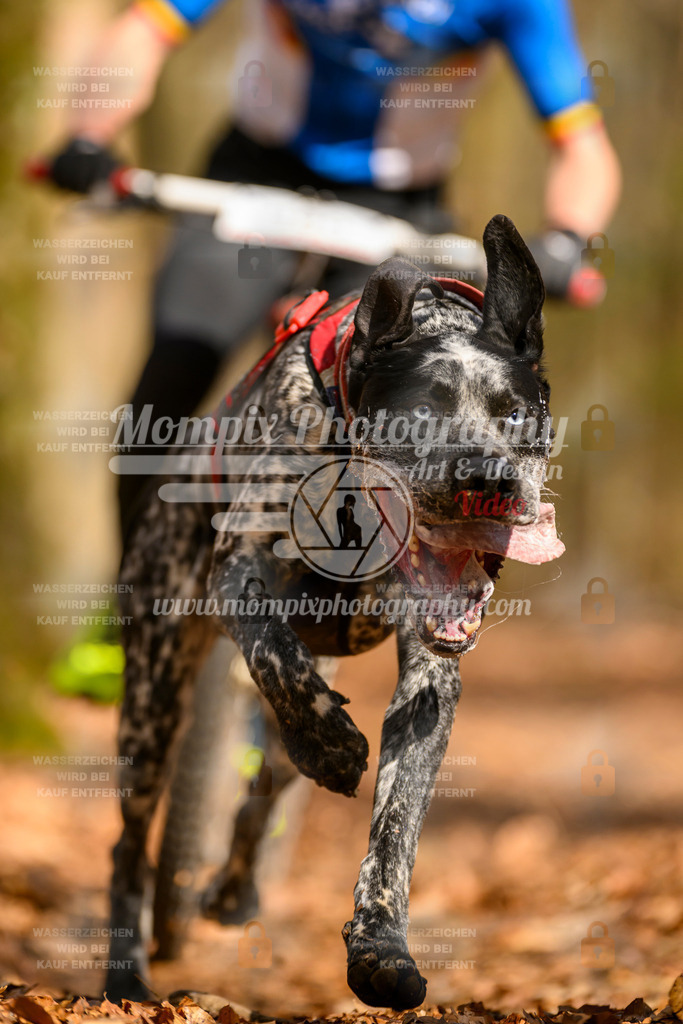 MompixPhotography_Habay2025_SA_SCO-46 | PayLife