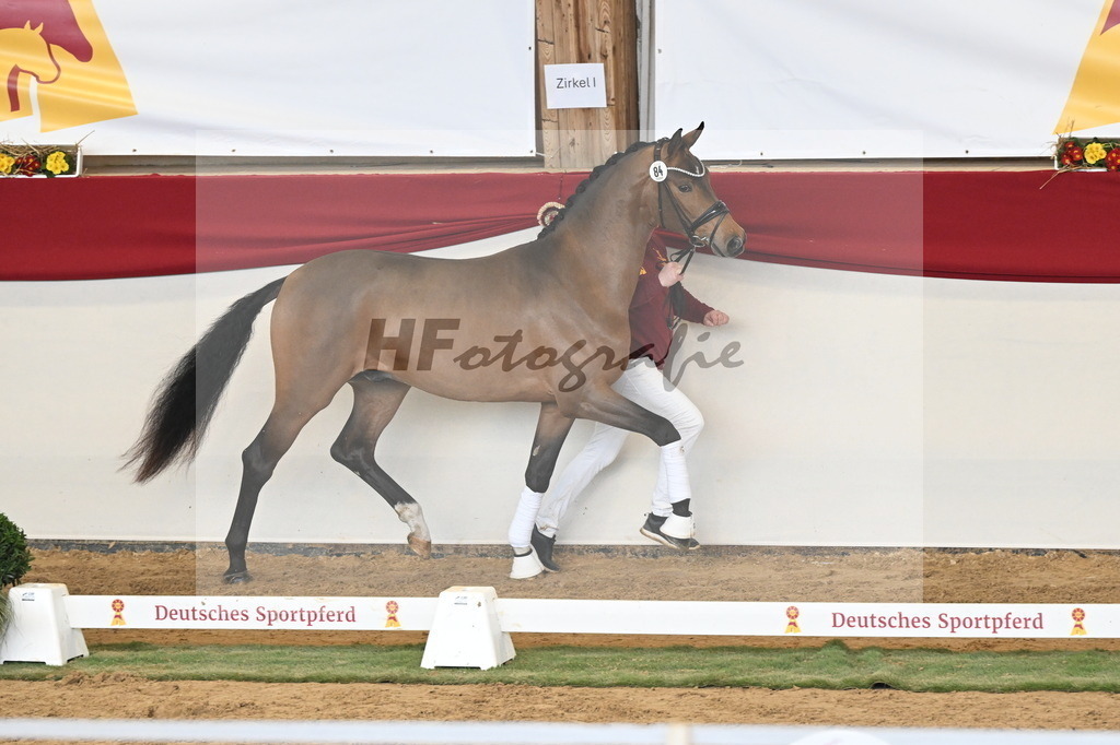 Kat.-Nr. 84 v. Velvedere_Kleinekoerdt_3261219 | hf-fotografie - Realisiert mit Pictrs.com
