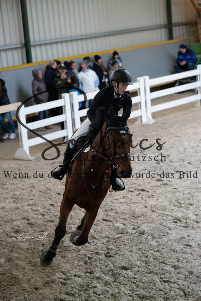 A7V01091 | Pferdefotograf