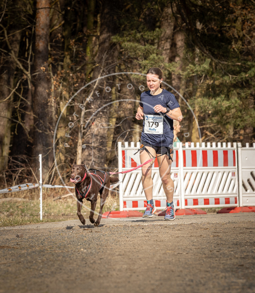 DV3A5690 | Hundefotografie, Tierfotograf, Pfotenfotografie, Fotoshooting Hund, Hunde Portrait, Hundesport, Hundeportraits, Heideshooting, Hunde, Sportfotograf, Hundefotograf, Turnierhundsport, THS,  - Realisiert mit Pictrs.com