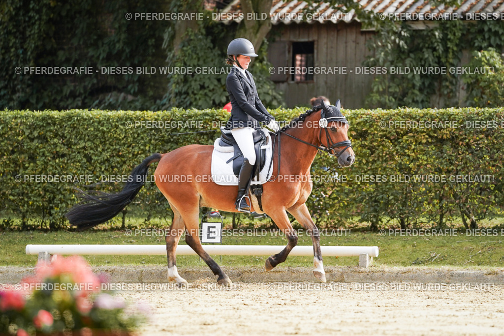 DSC04652 | Pferdegrafie