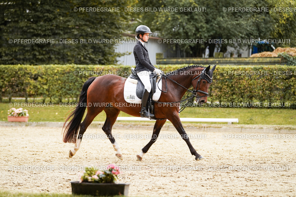 DSC09803 | Pferdegrafie