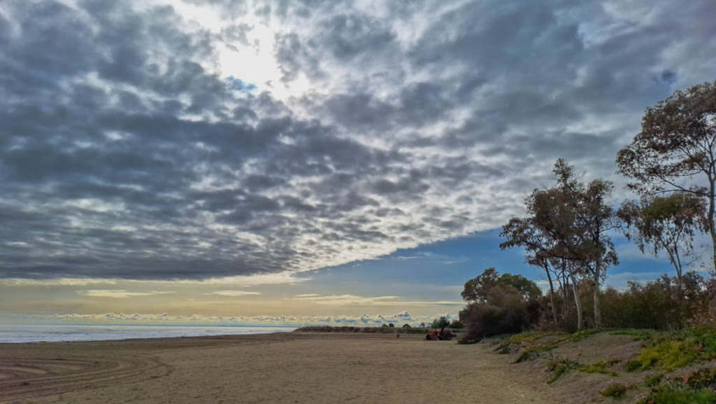 Küstenlandschaft am Camping Lido Salpi, Manfredonia, Italien | Die Aufnahme zeigt eine Küstenszene an der Adriaküste in Manfredonia, Foggia, Italien. Das Bild wurde vermutlich am Camping Lido Salpi aufgenommen.  Es zeigt einen weiten Sandstrand, der sich bis zum Horizont erstreckt. Der Himmel ist von dichten, dramatischen Wolken bedeckt, die das Licht des Tages filtern. Am Uferrand stehen schlanke, vermutlich Birken oder Pappelbäume mit charakteristischer weißer Rinde. Ein geländegängiges Fahrzeug (wahrscheinlich ein Quad oder ATV) ist im Hintergrund zu sehen, was auf die Nähe zum Campingplatz hindeutet. Der Strand ist mit Fußabdrücken und Spuren versehen, die den natürlichen Zustand der Küste stören. **Spezifische Beobachtungen:***   **Baumart:** Die Bäume sind wahrscheinlich Birken (Betula sp.) oder Pappelbäume (Populus sp.), aufgrund ihrer schlanken Form und der weißen Rinde. Eine genauere Bestimmung ist ohne weitere Details schwierig.*   **Fahrzeug:** Das Fahrzeug im Hintergrund ist wahrscheinlich ein Quad oder ein ATV (All-Terrain Vehicle). Die Marke ist nicht identifizierbar.*   **Geografische Lage:** Die Koordinaten (41.555131814397, 15.893422331352) bestätigen die Lage in Manfredonia, Foggia, Italien, in der Nähe des Camping Lido Salpi.*   **Lichtverhältnisse:** Das Licht ist diffus durch die Wolkendecke, was eine weiche Beleuchtung erzeugt. Es ist wahrscheinlich, dass das Foto gegen Abend oder am frühen Morgen aufgenommen wurde, wenn die Sonne tief am Horizont steht. - Realisiert mit Pictrs.com