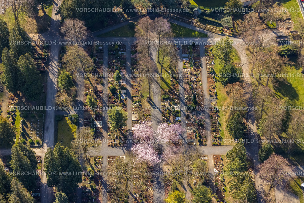 Werl220301155 | Luftbild, blühende Bäume im Parkfriedhof in Werl, Soester Börde, Nordrhein-Westfalen, Deutschland