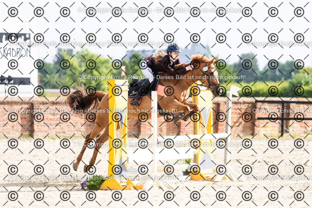 CL5A6336 | Emilia Reinking Fotografie - Realisiert mit Pictrs.com