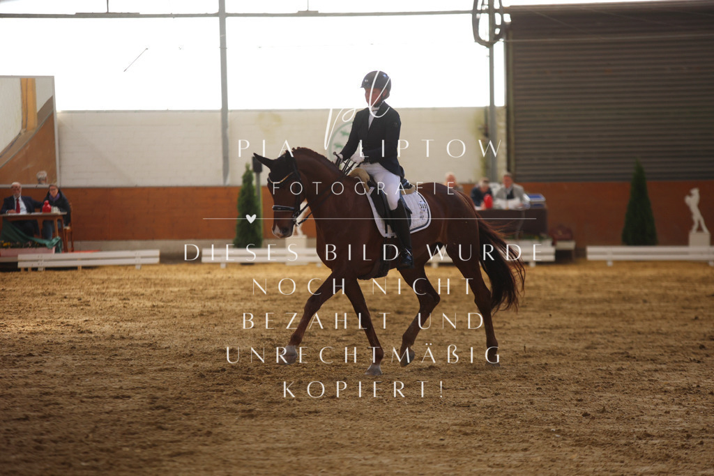 IMGT9780 | pl-fotografie