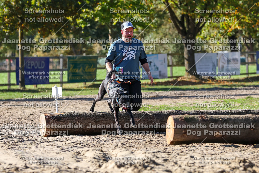 Dog Paparazzi - Strongdog 10-25-2823 | Dog Paparazzi Jeanette Grottendiek Fotografie & Videografie - Realisiert mit Pictrs.com