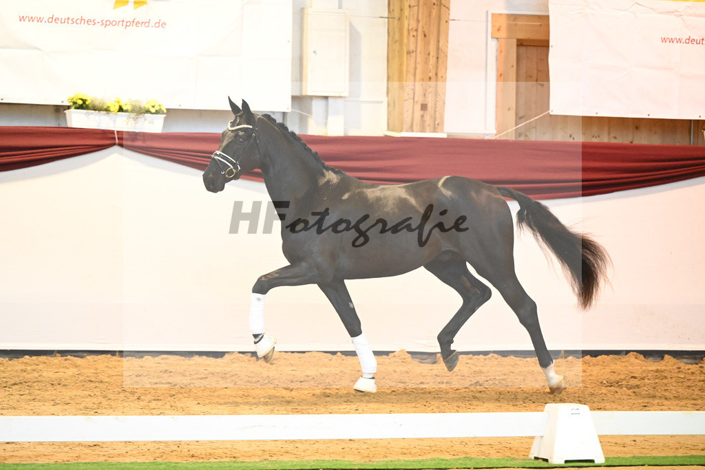 Kat-Nr. 65 v. De Niro Gold_Rohrmoser_66222276 | hf-fotografie - Realisiert mit Pictrs.com
