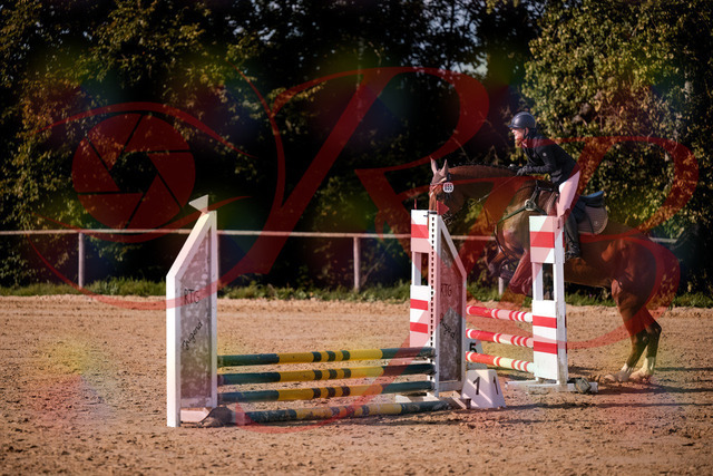2026_10_03_Siefer-Hof_155618_Z81_75711637 | Professionelle Reitsport-, Turnier- und Eventfotografie von Robert Broda. Galerien mit ausgewählten und bearbeiteten Bildern direkt online ansehen und bestellen.