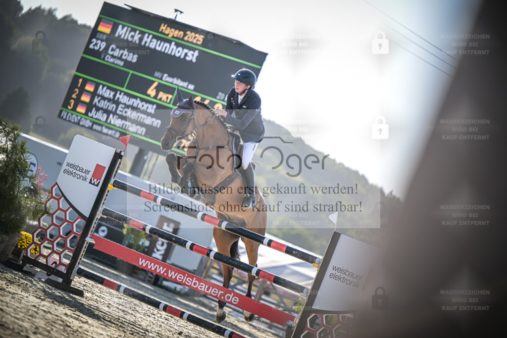 DOS_1163 | Entdecke hochwertige Reitturnierfotos von Foto Oger. Professionell, emotional und authentisch – jetzt Lieblingsmomente im Shop bestellen. - Realisiert mit Pictrs.com