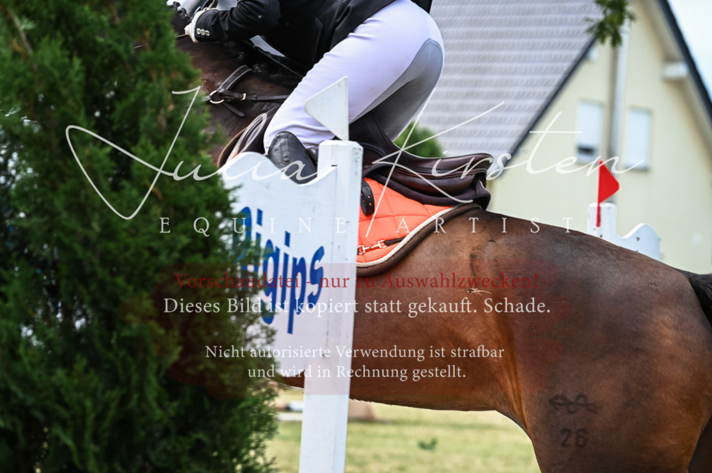 DSC_8298 | Pferde- und Turnierfotografie in Westsachsen. Pferdeportraits, Auftragszeichnungen und intuitive Kunst.