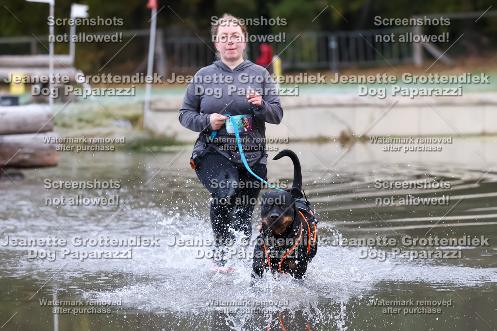 Dog Paparazzi - Strongdog 10-25-6078 | Dog Paparazzi Jeanette Grottendiek Fotografie & Videografie - Realisiert mit Pictrs.com