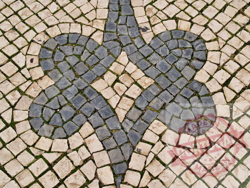 Portuguese pavement featuring decorative fleur-de-lis pattern | Portuguese pavement with a fleur-de-lis pattern crafted from light and dark cobblestones - Realisiert mit Pictrs.com