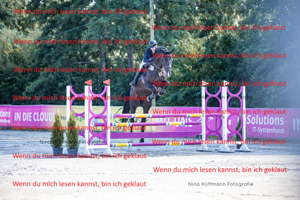BK1A5622 | Turnierbilder Turnierfotos Nina Hüffmann Turnierfotografie Pferdefotografie Tierzeichnung Haustierzeichnung Pferdezeichnung Hundezeichnung Videograf  - Realisiert mit Pictrs.com