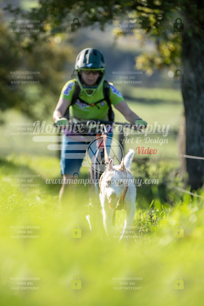 MompixPhotography_20TSB_E3_DS1-66 | PayLife