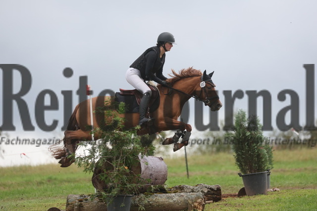 Altensteig_2024_Prfg.Nr.02_Geländepferdeprfg.Kl.A_Merle Hoffmann_Prima Rubina K (8) | Alle Fotos der Reiterjournal Fotografin Doris Matthaes im Reiterjournal Online-Fotoshop. - Realisiert mit Pictrs.com