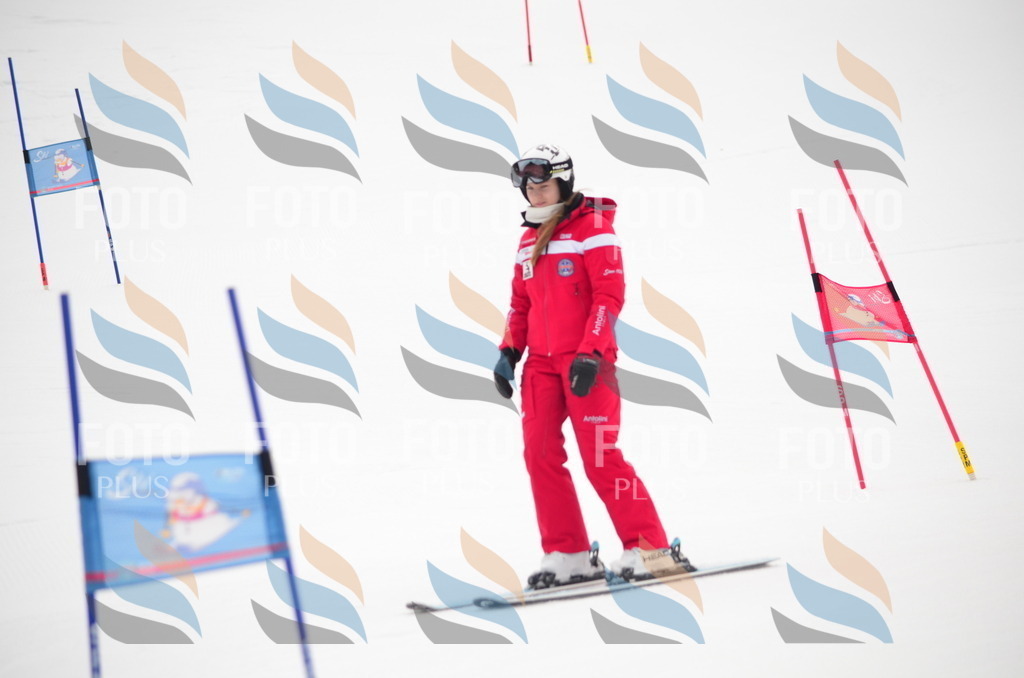 B9006 | holidayphoto