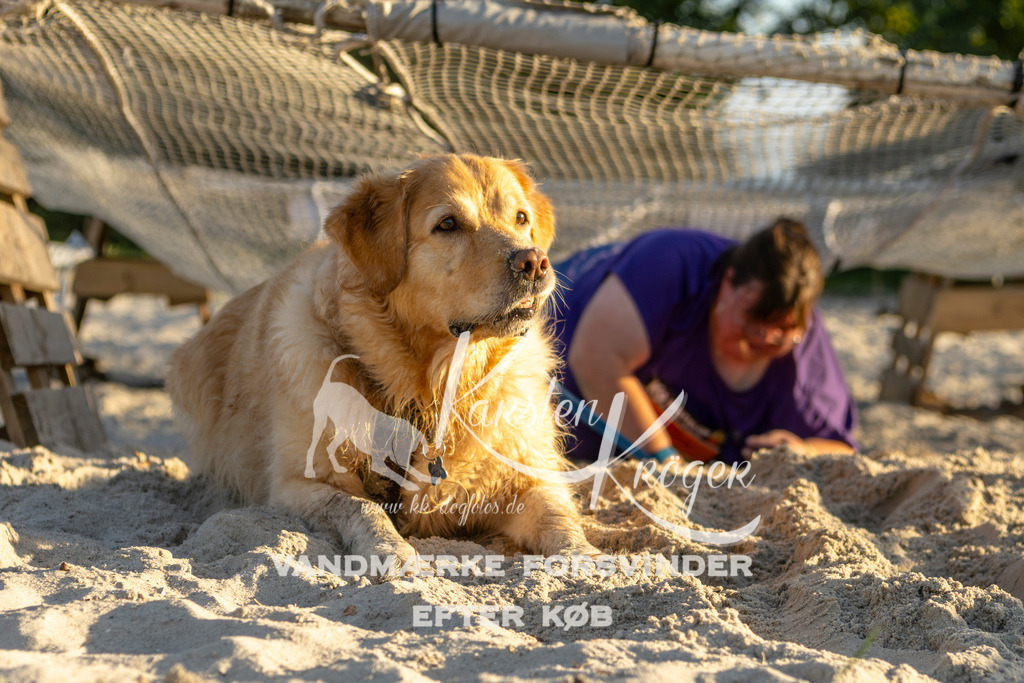 1706_ZZ90550 | kk-dogfotos