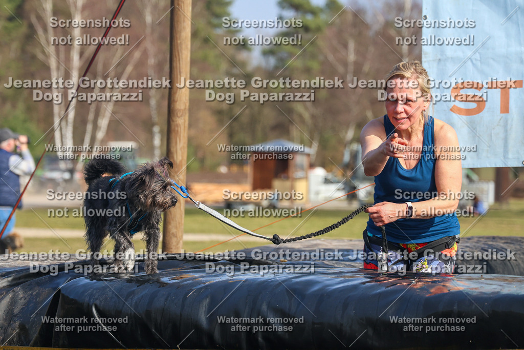 Dog Paparazzi - Strongdog North Mrz26-2885 | Dog Paparazzi Jeanette Grottendiek Fotografie & Videografie - Realisiert mit Pictrs.com